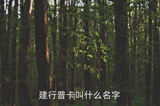 建行普卡叫什么名字
