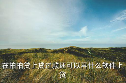 在拍拍貸上貸過款還可以再什么軟件上貸
