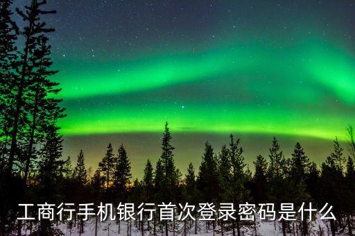 工行首次登陸密碼是什么意思，工商行手機銀行首次登錄密碼是什么