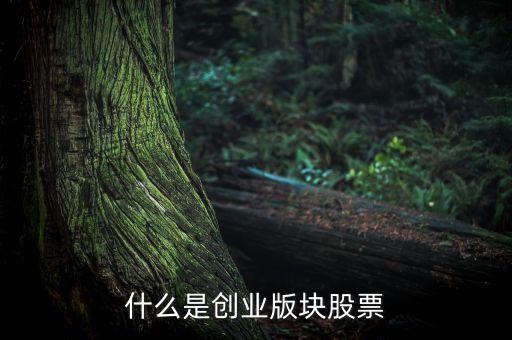 什么是創(chuàng)業(yè)板塊股票，什么是創(chuàng)業(yè)版塊股票