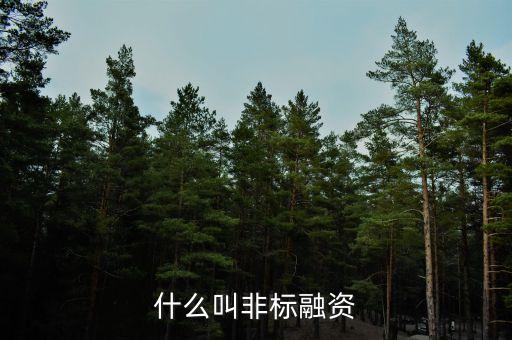 什么叫非標融資