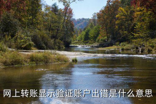 網(wǎng)上轉(zhuǎn)賬顯示驗(yàn)證賬戶(hù)出錯(cuò)是什么意思