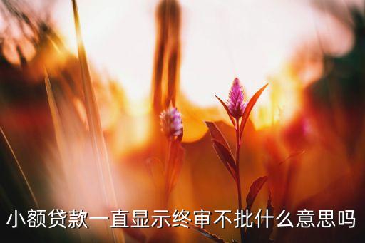 小額貸款一直顯示終審不批什么意思嗎