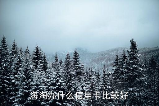 海淘辦什么信用卡比較好