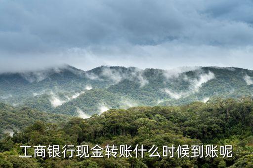 工商銀行現(xiàn)金轉(zhuǎn)賬什么時(shí)候到賬呢