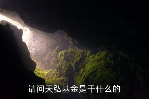 天弘穩(wěn)利基金是什么，天弘基金是干什么的