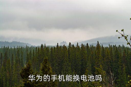 8850行業(yè)龍頭股是什么，華為的手機(jī)能換電池嗎