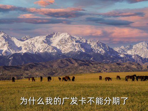廣發(fā)為什么不能分期付款，廣發(fā)銀行信用卡為什么不能分期