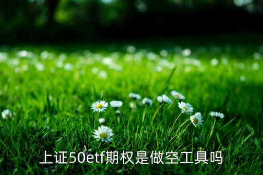 上證50etf期權(quán)是做空工具嗎
