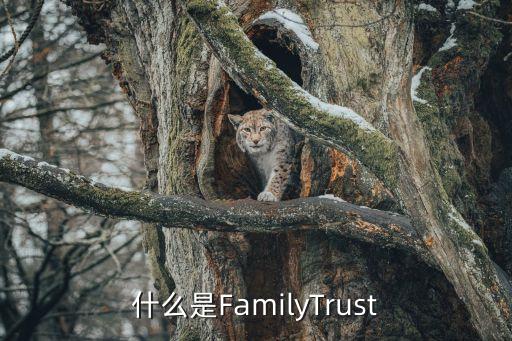 什么是FamilyTrust
