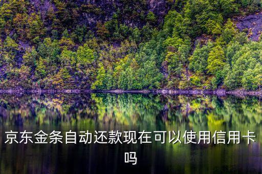 京東金條自動(dòng)還款現(xiàn)在可以使用信用卡嗎