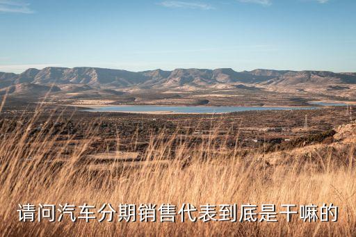 車貸銷售主要做什么，請問汽車分期銷售代表到底是干嘛的
