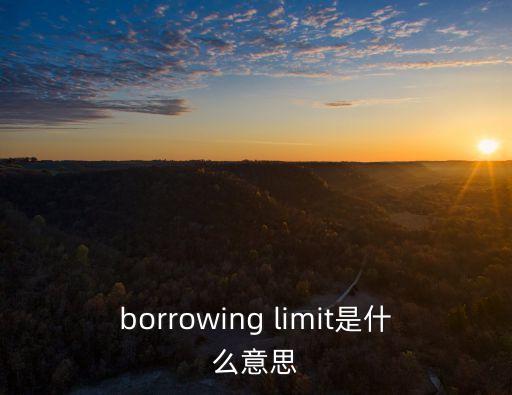 borrowing limit是什么意思