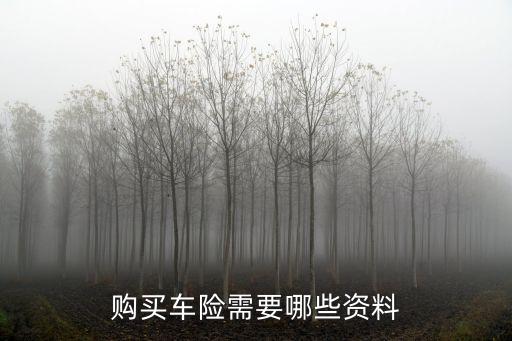 購(gòu)買車險(xiǎn)需要哪些資料