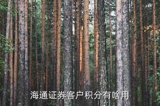 開通海通證券有什么用，銀行叫辦海通證券辦理有什么用