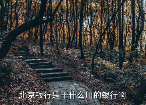 北京銀行是干什么用的銀行啊