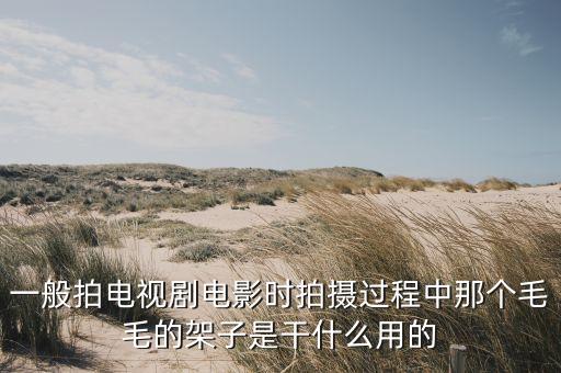 一般拍電視劇電影時(shí)拍攝過(guò)程中那個(gè)毛毛的架子是干什么用的