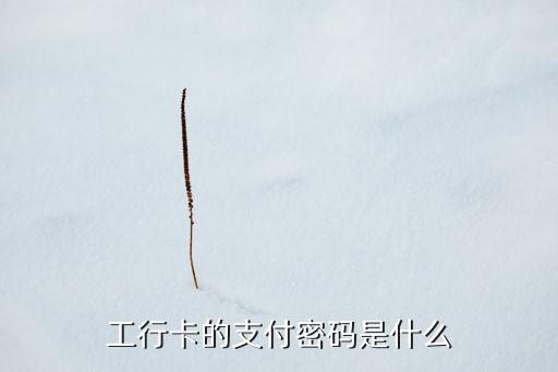 工行一鍵支付密碼是什么，工行支付密碼是什么東西