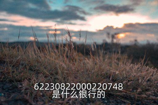 62230822000220748是什么銀行的