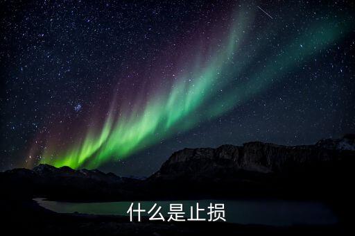 什么是止損