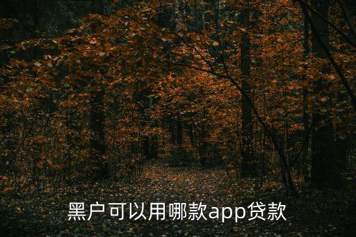 黑戶可以用哪款app貸款
