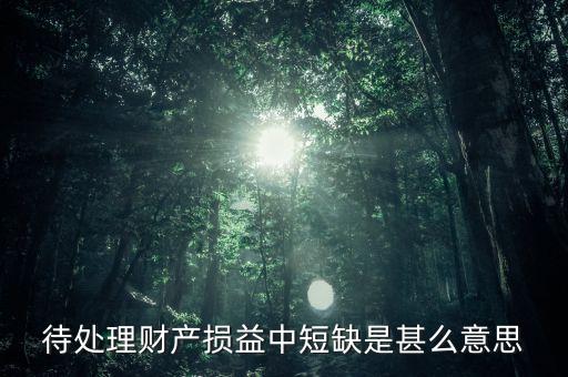 待處理財(cái)產(chǎn)損益是什么意思，請(qǐng)問如何理解待處理財(cái)產(chǎn)損益