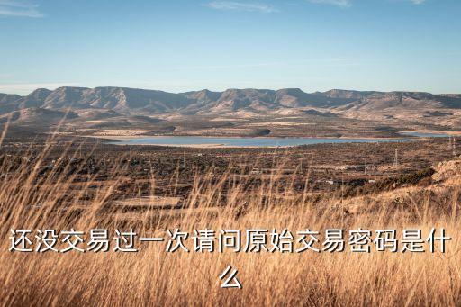 還沒交易過一次請問原始交易密碼是什么