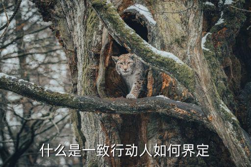 什么是一致行動(dòng)人如何界定