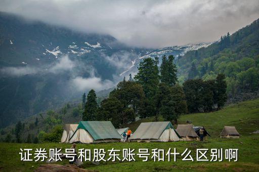 證券賬號和股東賬號和什么區(qū)別啊