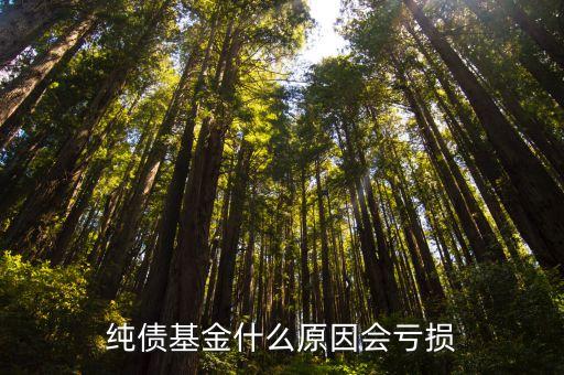 純債基金什么原因會虧損