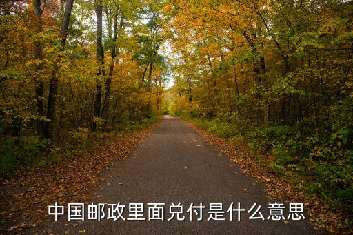 郵政匯兌金額是什么意思，郵政儲蓄卡中的匯兌是什么意思