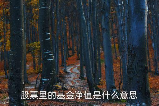 股票里的基金凈值是什么意思