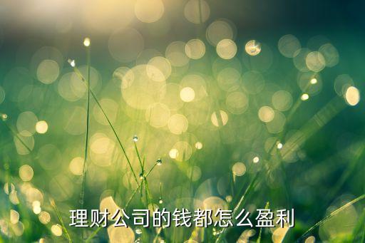理財(cái)公司的錢都怎么盈利