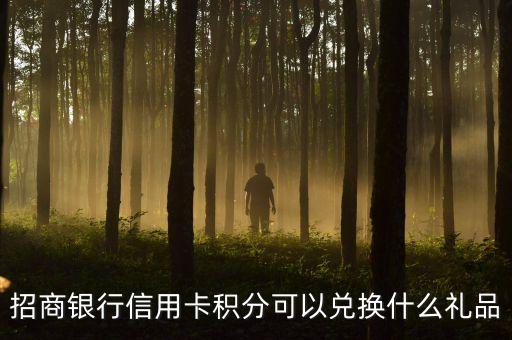 招商銀行信用卡積分可以兌換什么禮品