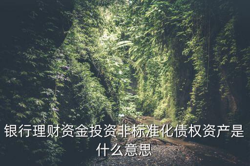 銀行理財資金投資非標(biāo)準(zhǔn)化債權(quán)資產(chǎn)是什么意思