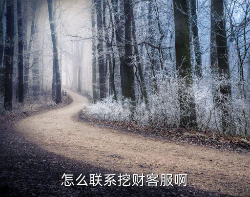 怎么聯(lián)系挖財(cái)客服啊