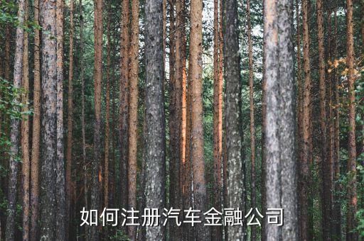 汽車貸款注冊什么公司，請問我想做車貸的業(yè)務(wù)模式開一家公司那么我應(yīng)該注冊一個什么類