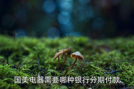 國美電器用的什么分期，國美電器需要哪種銀行分期付款