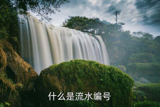 打印公司流水取什么號，什么是流水編號