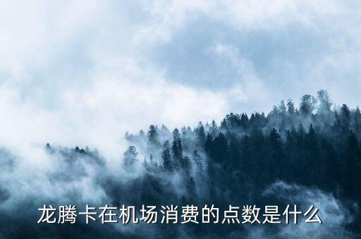 龍騰卡在機場消費的點數(shù)是什么
