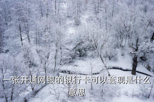 卡套現(xiàn)什么意思，一張開通網(wǎng)銀的銀行卡可以套現(xiàn)是什么意思
