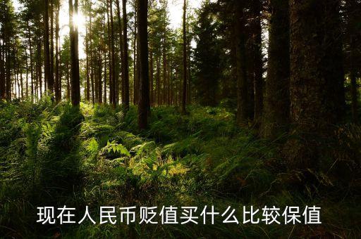 人民幣貶值買什么，人民幣貶值買什么好