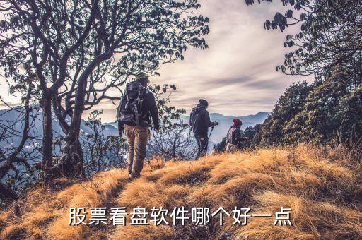 股票看盤軟件哪個好一點