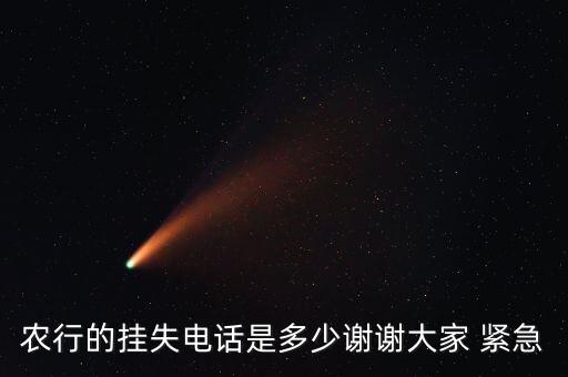 028 95599是什么電話，農(nóng)行的掛失電話是多少謝謝大家 緊急