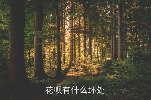 花唄有什么壞處