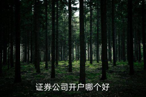 選擇什么證券公司開戶，想炒股在那個證券公司開戶比較好