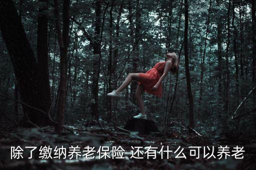 靠什么養(yǎng)老，除了繳納養(yǎng)老保險(xiǎn) 還有什么可以養(yǎng)老