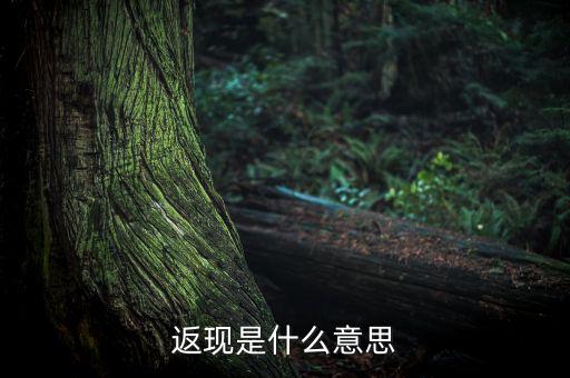 提前返款是什么意思啊，淘寶先返單什么意思