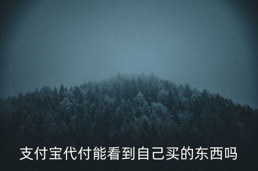 支付寶代付能看到買什么，在支付寶找他人代付對方能知道我買什么嗎