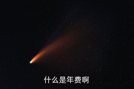 什么是年費啊